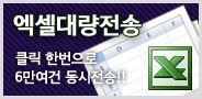 �������� �뷮����